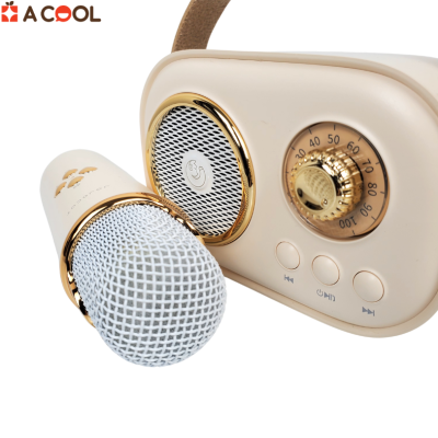 Loa Bluetooth kèm mic C20Plus