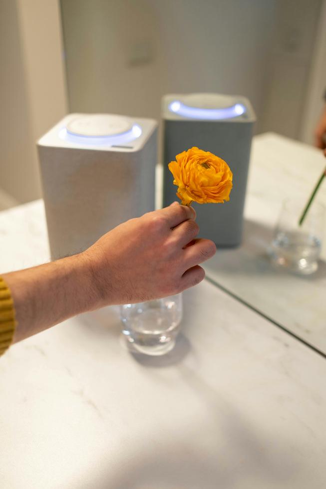Chill Out Cực Đỉnh Với Loa Bluetooth Âm Thanh Hay - Đừng Bỏ Lỡ!